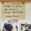 4896 | 공주 정원카페 보니비 후기 동학사 근처 감성 가득한 힐링 카페 추천