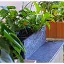 비케이팜 이미지