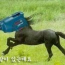 드립 Daum카페