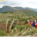 영축산정상 이미지