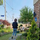 카페 아숨 by 득량 이미지