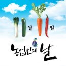 11월11일 이미지
