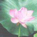 여행영어(야간) 이미지