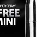 빵빵여우마켓 이미지