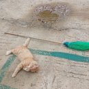 고도민박 이미지