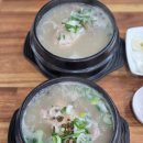 부원(富園)한방삼계탕 | 부산시청역맛집, 부원삼계탕