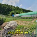 은성화원