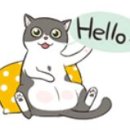 권동물병원 이미지