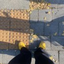 반포대로24길 41-4 | 아메리카? 멀리 갈 필요 없지!