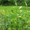 속리산민박 이미지