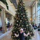 함평읍사무소1층 | 전남 함평 가을에 미리 맛보는 딸기케이크 '키친205' 방문 후기