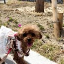 화랑유치원 이미지