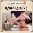 MAX | 호매실 바디관리 별하에스테틱에서 하체관리 &amp;인비덤MAX 체험 후기