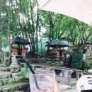 금당계곡블루마운틴 이미지