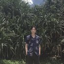 택곡 이미지