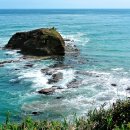 동현의료재단 이미지