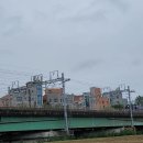 오늘도늘해랑