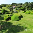 대유랜드 이미지