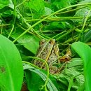 샤브향거창점 이미지