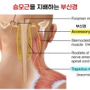 금정한의원 이미지
