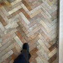 캐리비안펜션 | [하루] FLEX 캐리비안베이와 에버리움펜션🏊