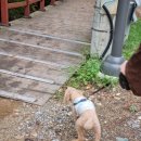 명동왕족 | 살아보기, 배론성지, 비룡담 저수지, 낭만짜장, 의림지, 의림지 파크랜드, 용추폭포 유리전망대, 명동왕족