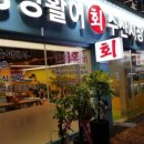 싱싱활어회수산 이미지