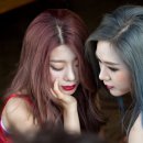 버블엑스 카카오 검색결과