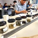 (주)한아름메디칼 | [외부출강] 딜라이브(D'LIVE) 매니저 역량강화교육 [아로마출강, 아로마테라피, 기업출강, 기업교육...