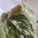 한중여유(주) 이미지