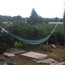 제주민박 이미지