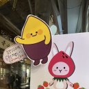 진영상회 이미지