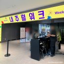 마곡 코엑스 내추럴위크 차 공예 박람회 첫 날 방문후기