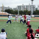 한국티볼연맹 OSEN