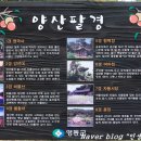 강선대 화장실 네이버블로그