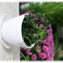 3900원의 행복 이미지