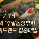 트레이드인 이미지