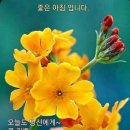 동탄산업단지공인중개사사무소 이미지