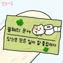 붐노래연습장 | 25년 1월 일기 : 이 불꽃놀이는 끝나지 않을 거야 🎇