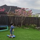 경주 단체키즈원데이펜션 파미유 | 경주 단체파미유 키즈펜션에서 특별한 하루