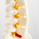 상동서울한방병원 이미지