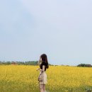 언덕위하늘정원 이미지