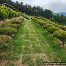 영원목장 이미지