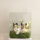 마음을 담다 이미지