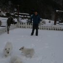 하늘자락 물소리 Daum카페