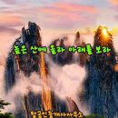 보라부동산공인중개사사무소 이미지