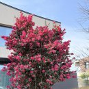 야크마을 | 제주 야크마을 가든스위트 숙소 후기 | 아이와 함께한 2박3일