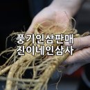 진이네인삼사