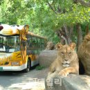 월드음향 이미지