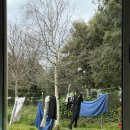 옷사랑빨래터 이미지